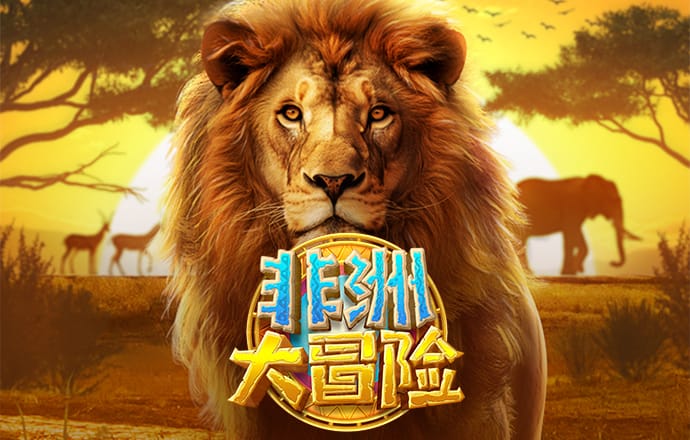 55世纪平台官网下载